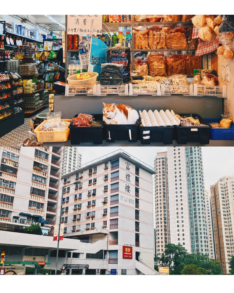 【明信片 Postcards】遊走香港公共屋邨系列第四彈 Vol4: Hong Kong Public Housing Estates