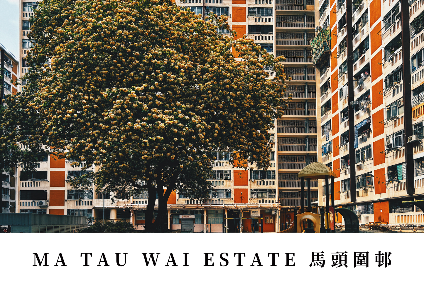 馬頭圍邨明信片套裝 Ma Tau Wai Estate, Hong Kong Postcards