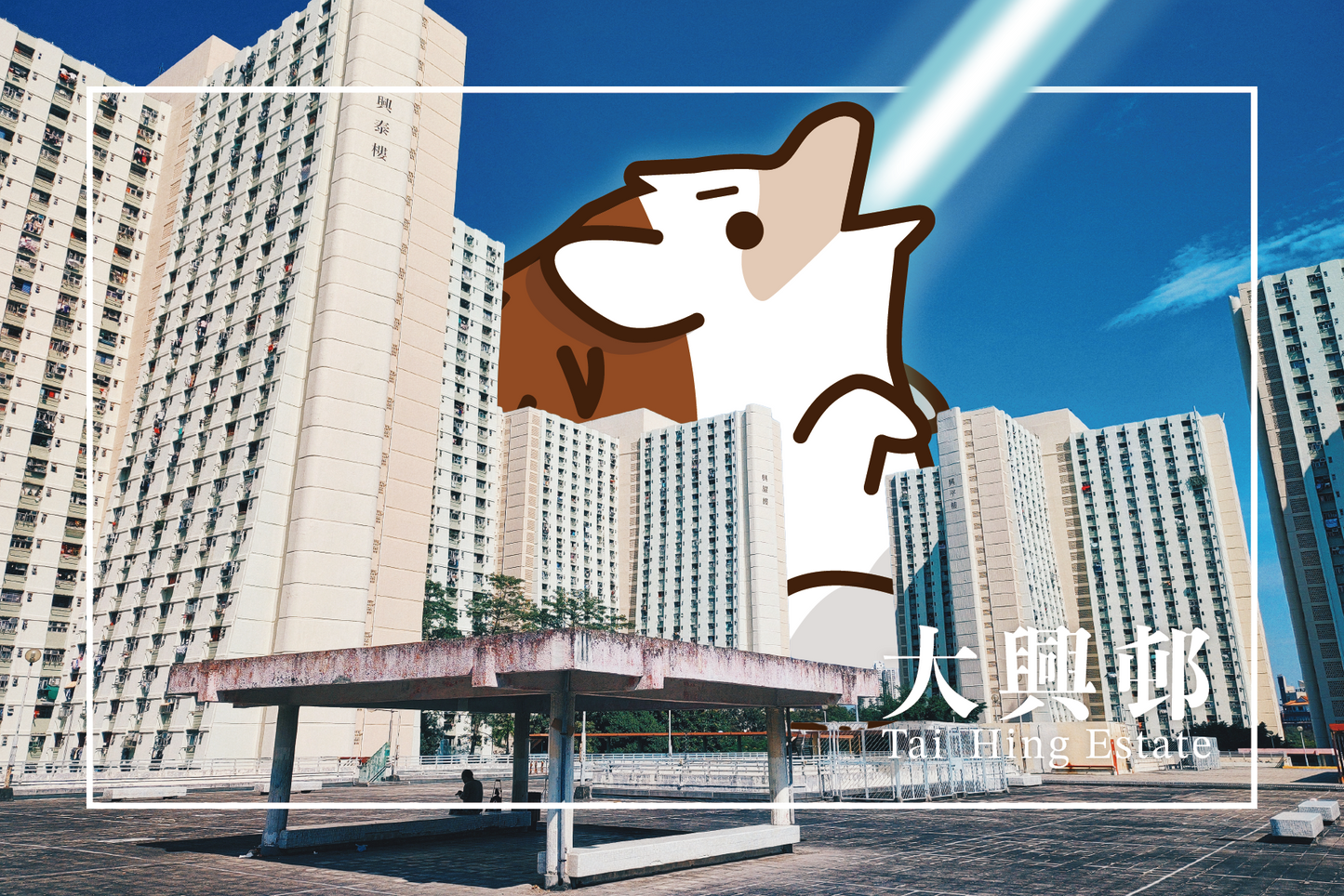 刺身小姐 x 遊走香港屋邨誌明信片套裝 Hedgehog Sashimi x Exploring Hong Kong Public Housing Postcard Set