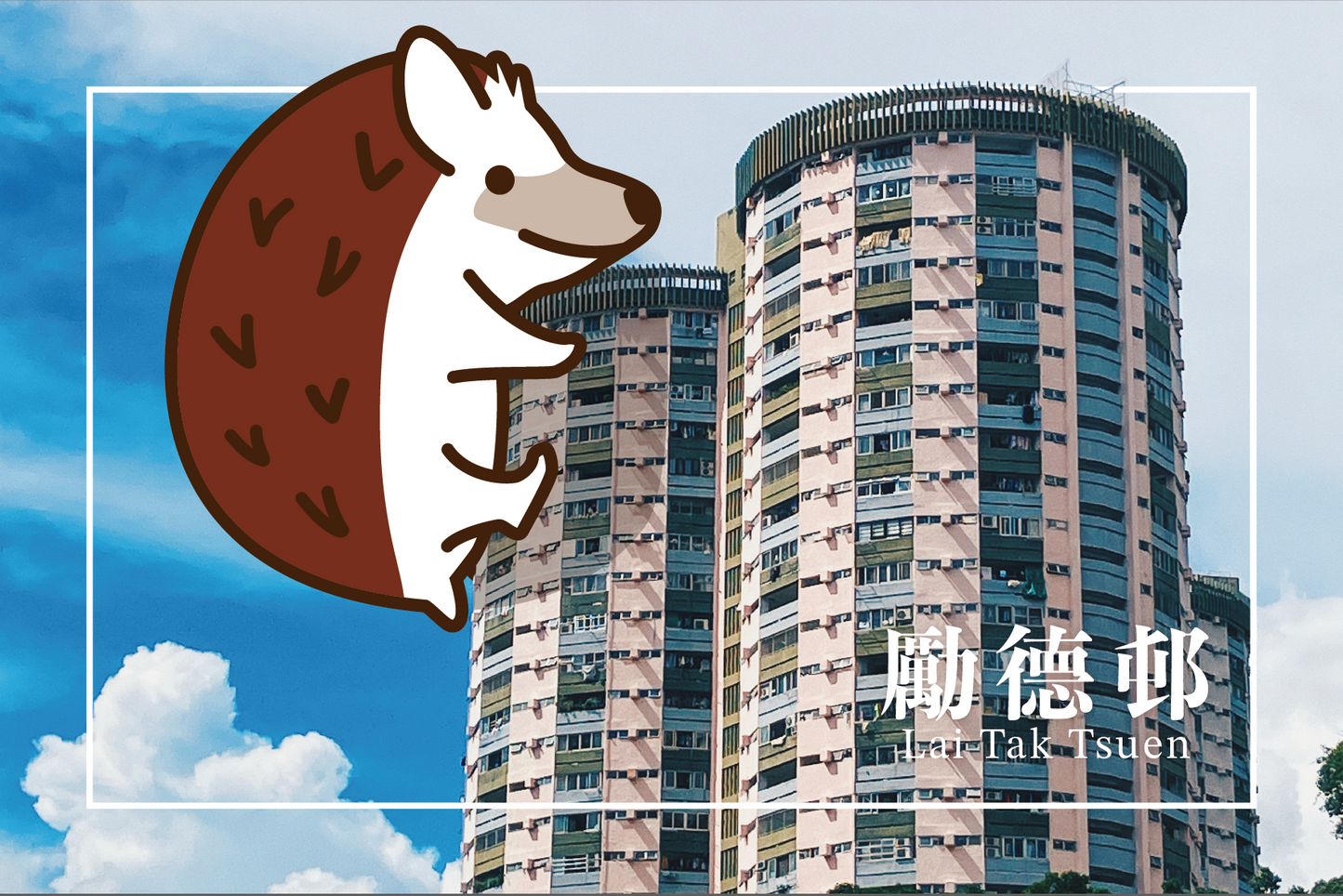 刺身小姐 x 遊走香港屋邨誌明信片套裝 Hedgehog Sashimi x Exploring Hong Kong Public Housing Postcard Set