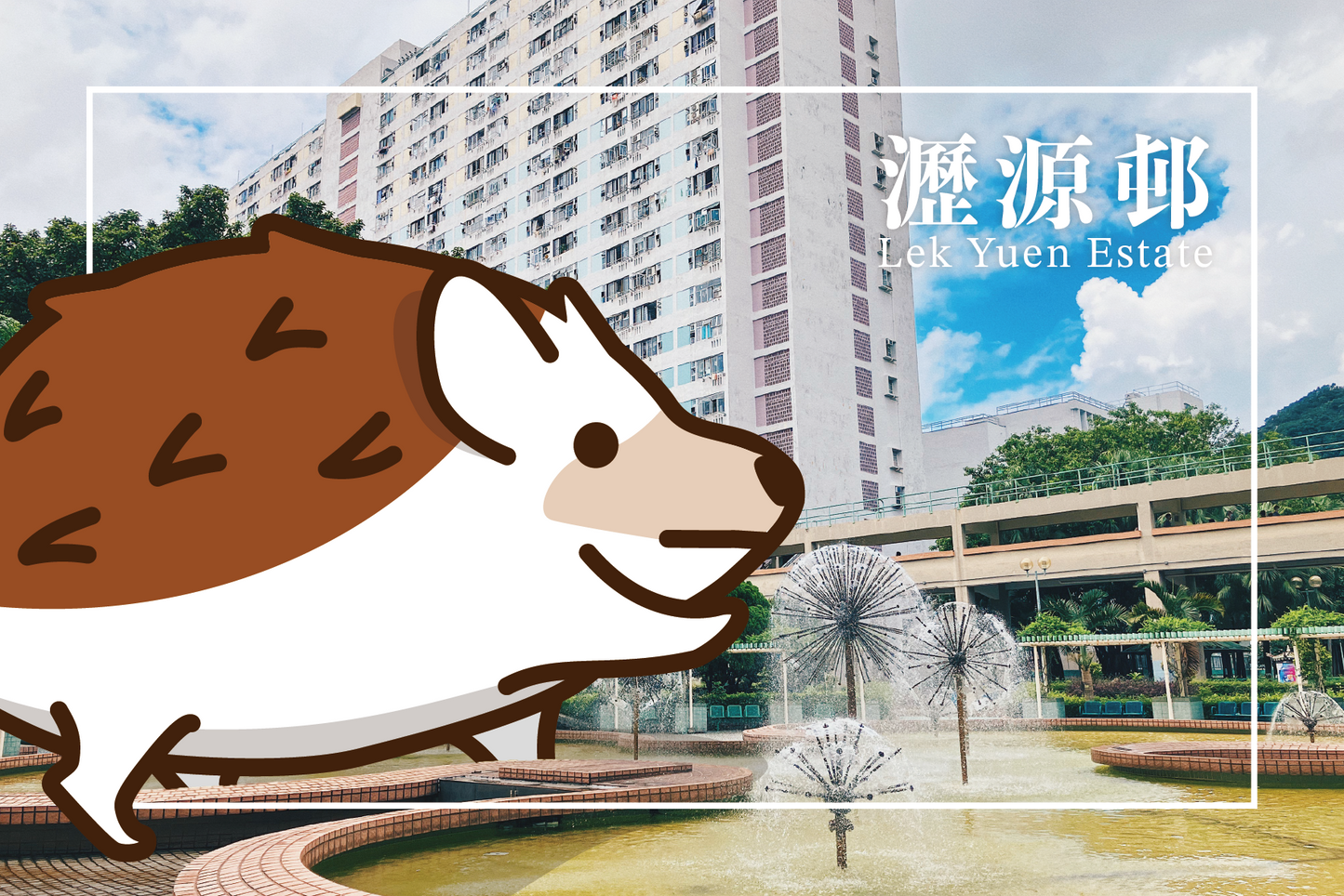 刺身小姐 x 遊走香港屋邨誌明信片套裝 Hedgehog Sashimi x Exploring Hong Kong Public Housing Postcard Set