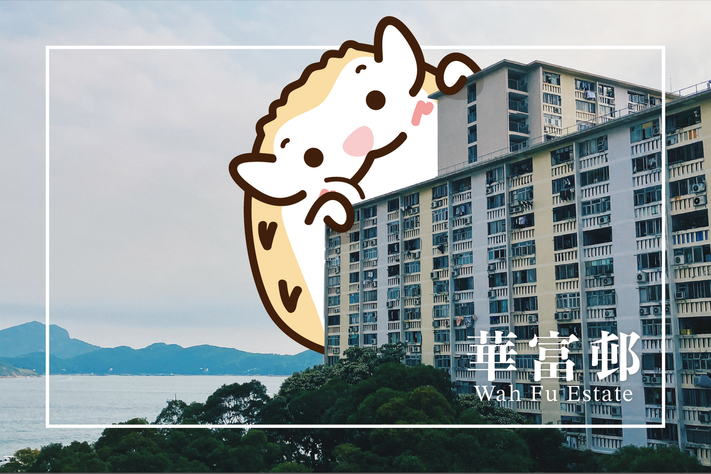 刺身小姐 x 遊走香港屋邨誌明信片套裝 Hedgehog Sashimi x Exploring Hong Kong Public Housing Postcard Set