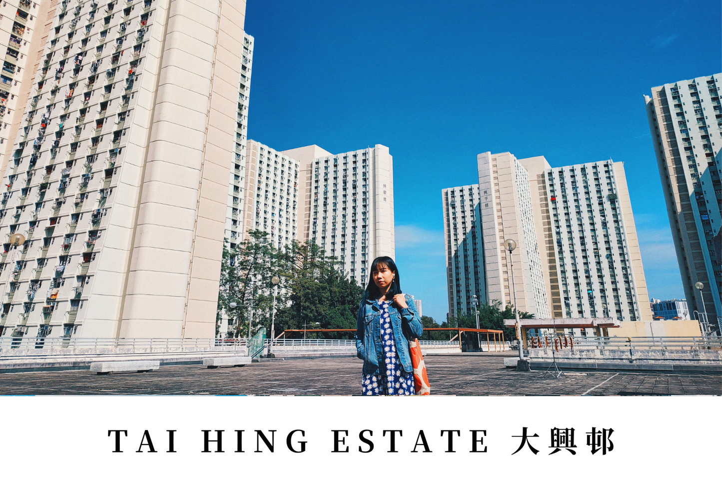 大興邨明信片套裝 Tai Hing Estate, Hong Kong Postcards