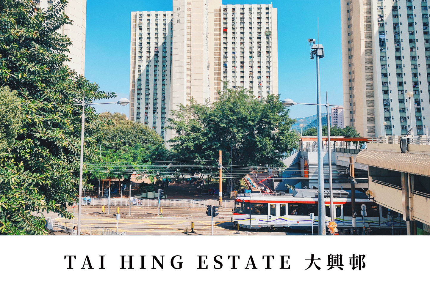 大興邨明信片套裝 Tai Hing Estate, Hong Kong Postcards