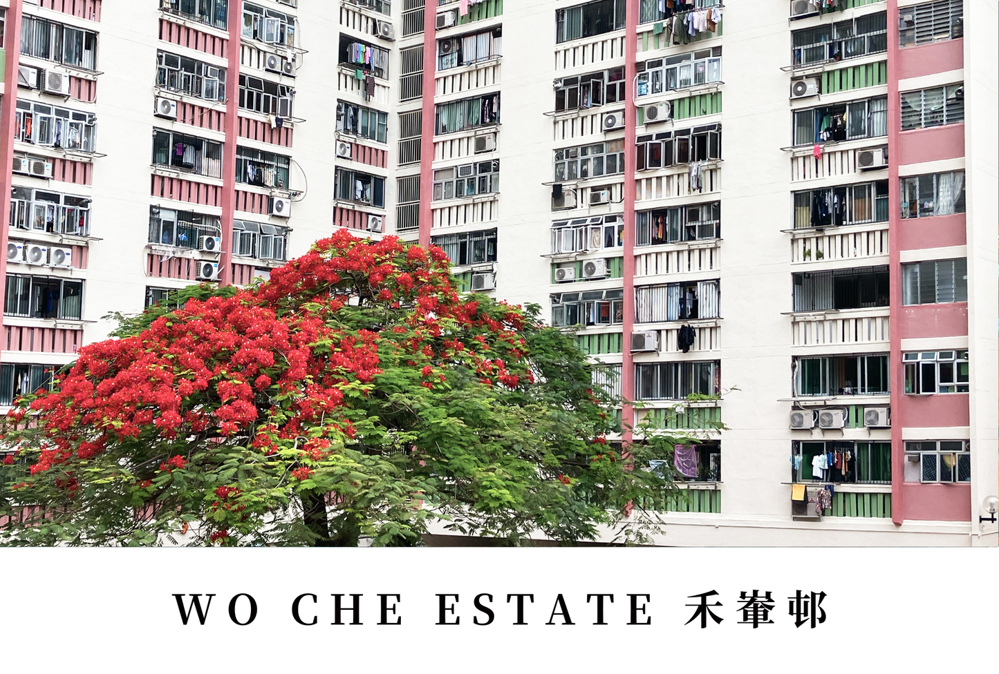 禾輋邨明信片套裝 Wo Che Estate, Hong Kong Postcards