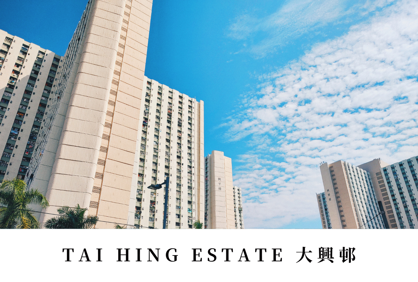 大興邨明信片套裝 Tai Hing Estate, Hong Kong Postcards