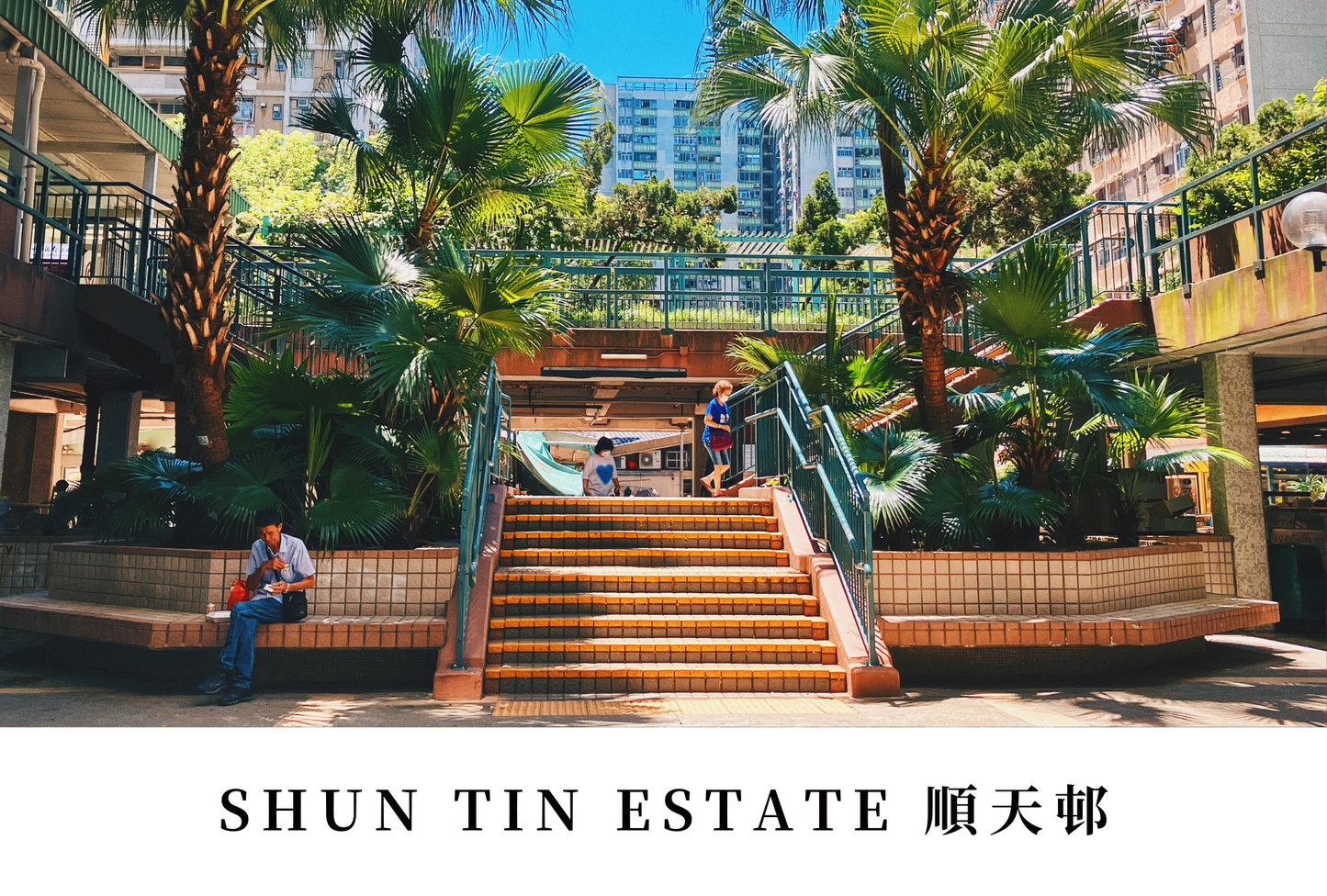 順天邨明信片套裝 Shun Tin Estate, Hong Kong Postcards