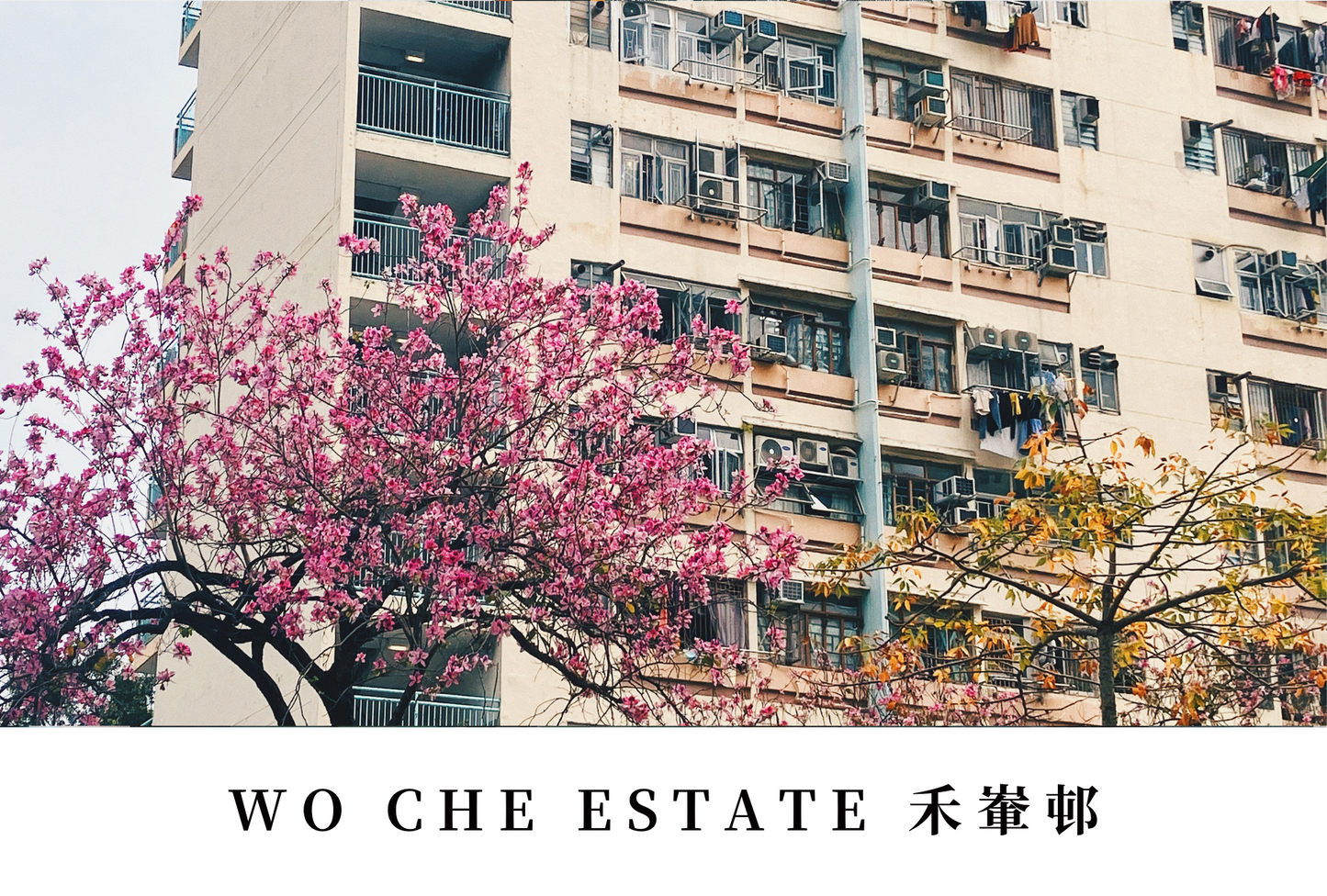 禾輋邨明信片套裝 Wo Che Estate, Hong Kong Postcards