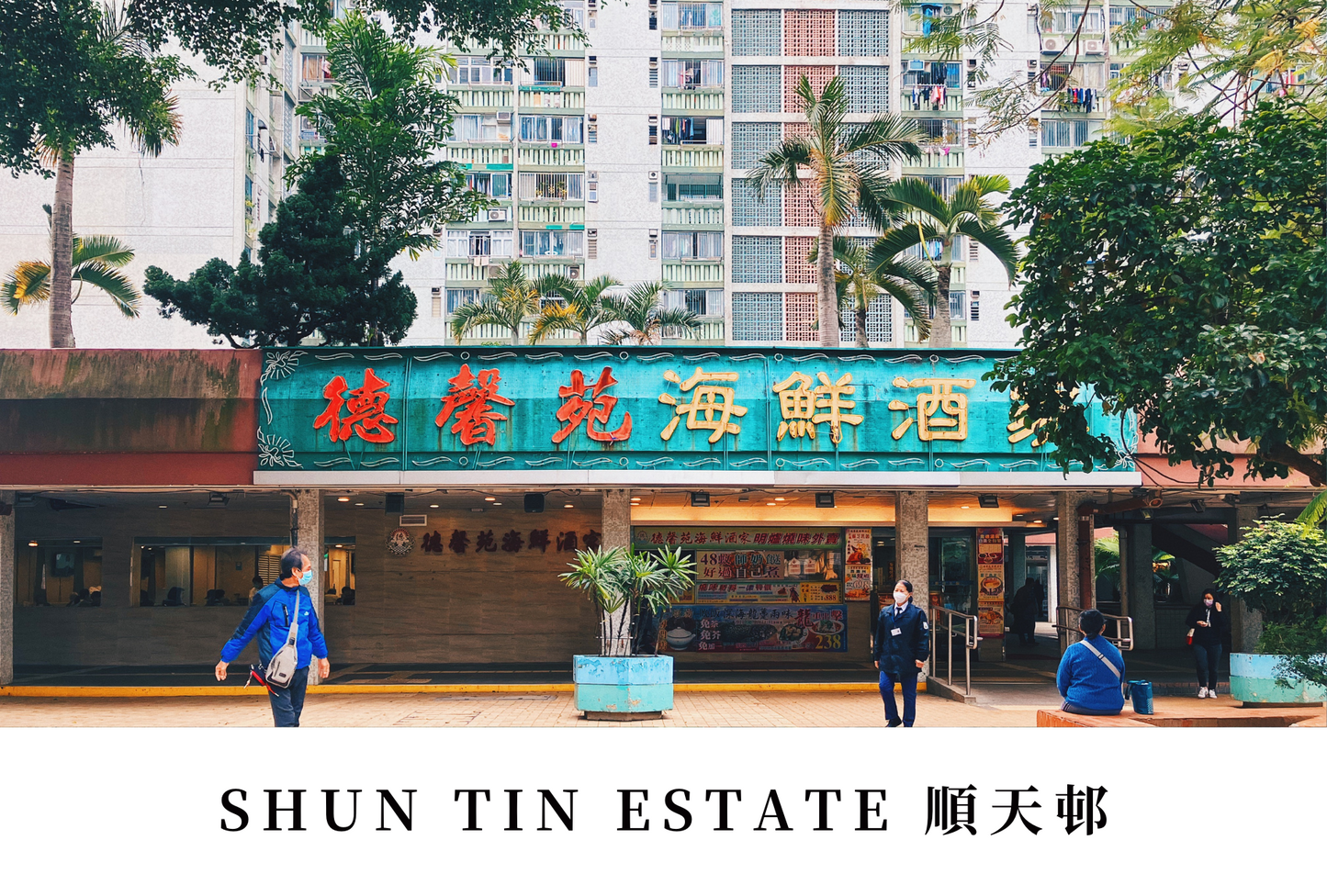 順天邨明信片套裝 Shun Tin Estate, Hong Kong Postcards