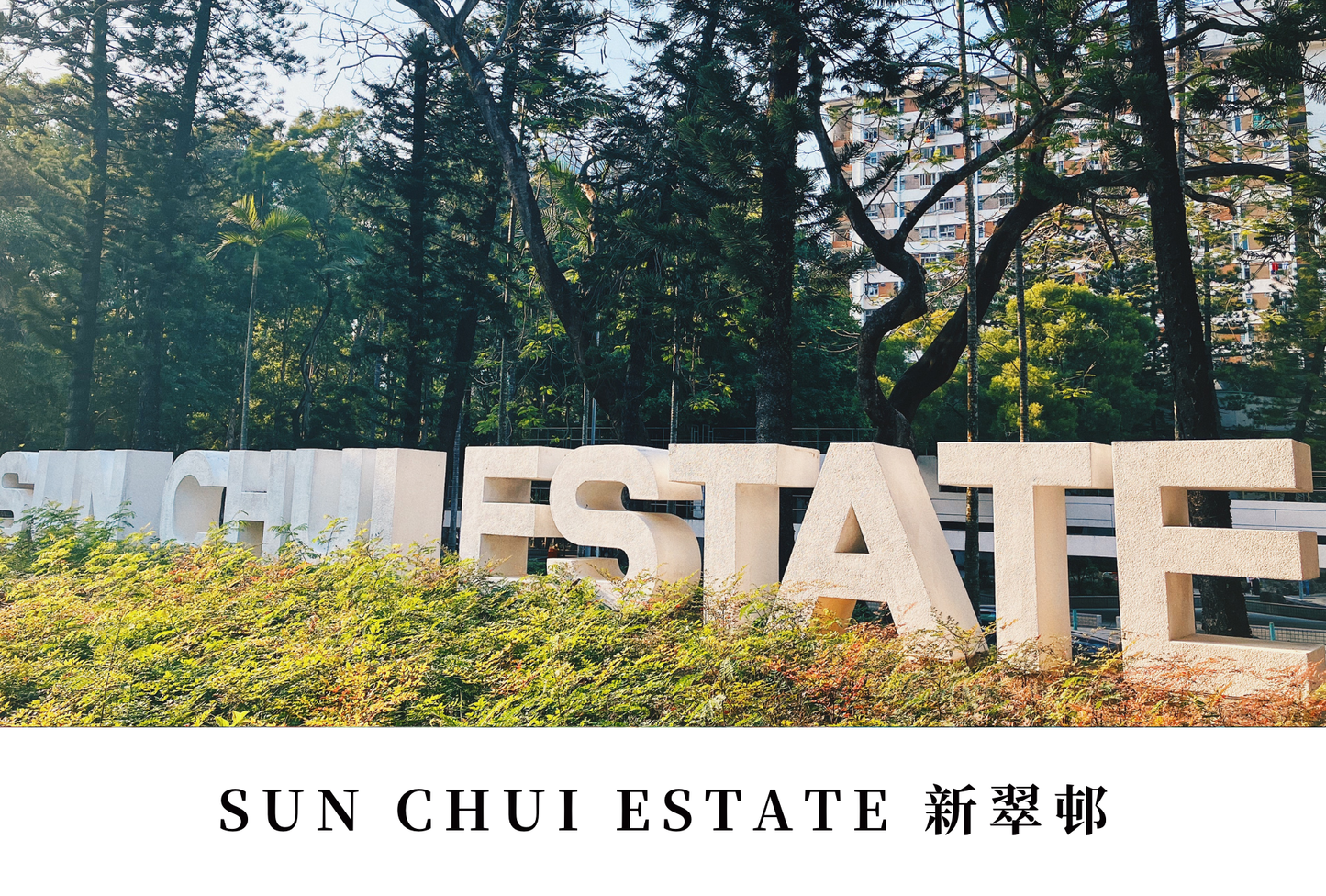 新翠邨明信片套裝Sun Chui Estate, Hong Kong Postcards