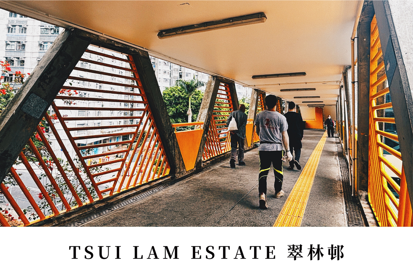 翠林邨明信片套裝 Tsui Lam Estate, Hong Kong Postcards